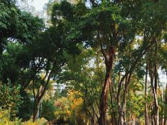 -深圳国际园林花卉博览园