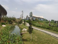 -桤木河湿地公园