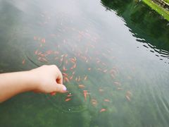 -玉渡山自然风景区