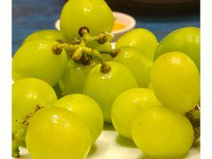 -樽宴酒楼·地道川菜·品质聚会·生日宴请