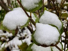 -人民防洪胜利纪念塔