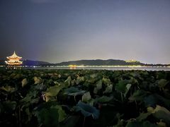 -西湖游船