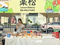 -汇德隆银隆