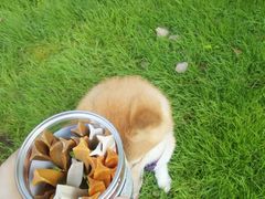 -重庆市江北嘴中央商务区中央公园