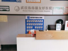 -伟伟宠物医院·瑞派猫友好医院·猫科(光谷店)