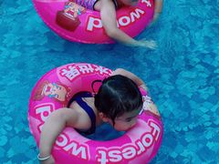 -苏州乐园森林水世界