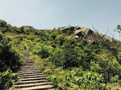 -大罗山风景区