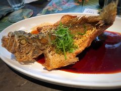 -大树餐厅(红旗街万达店)