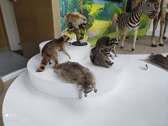 -陕西自然博物馆