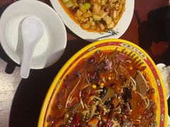 -万达广场(菏泽牡丹店)