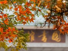 -山东师范大学(千佛山校区)