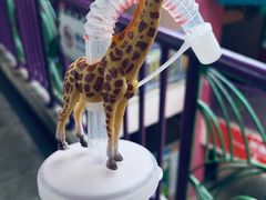 -广州长隆野生动物世界