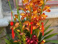 -溪岸路花鸟市场