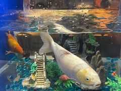 -蚝翅·海鲜粥·烧烤·龙虾季(海曙天一店)