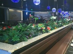 -daozao料理美术馆(东营店)