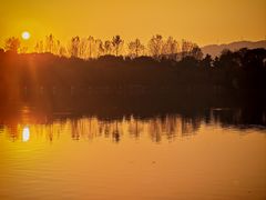 -浙江农林大学(东湖校区)