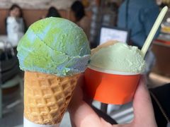 斑斓椰子-Dal Cuore 达可芮冰淇淋(陕西北路店)