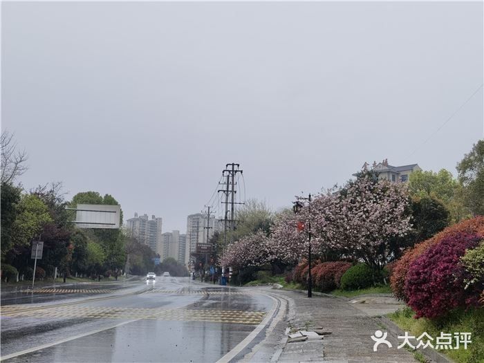 宁乡泡温泉发现的一家宝藏湘菜馆