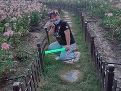 -荷兰花海