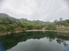 -阳台山自然风景区