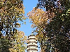 -灵谷景区