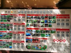 -海南槟榔谷黎苗文化旅游区