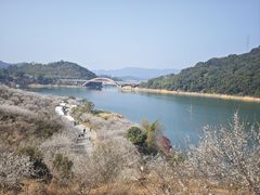 -广州市流溪河国家森林公园