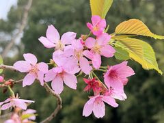 -梁鸿国家湿地公园