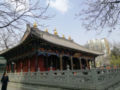 -护国法轮寺