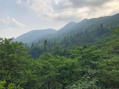 -大围山国家森林公园