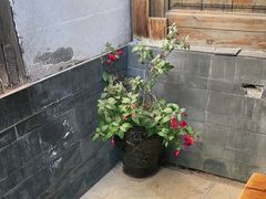 -小厨子私房菜·云南美食店