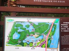 -大亚湾红树林城市湿地公园