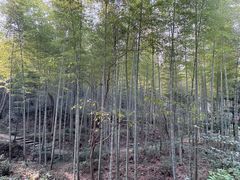 -黄公望隐居地