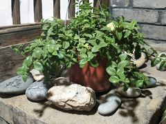 -百里峡七彩艺术小镇