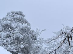 -瓦屋山景区