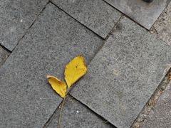 -Tequila Espresso(嘉善路店)