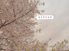 -光福景区
