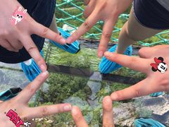 -梦幻奥陶纪景区