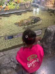 -Zoolung Zoolung动物主题公园(海信广场店)