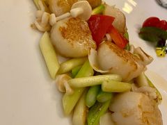 白玉芦笋炒元贝-火璽·園