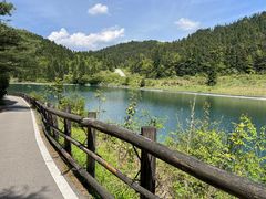 -武陵山森林公园