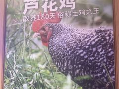 -俭寨大盘鸡·缸子肉·小公鸡·新疆菜(云通店)