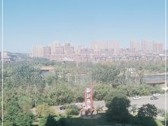 -前关湿地公园