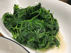 -菩提树·素食餐厅(汇智国际商业中心店)