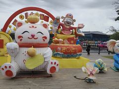 -上海长兴岛郊野公园