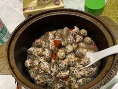 胡椒風螺-光头匠