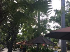 -100蛋泥浆浴