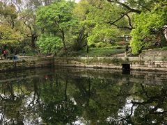 -普陀山风景名胜区-法雨禅寺