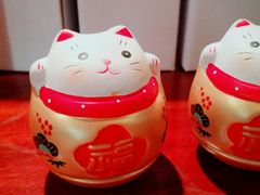 -猫咪博物馆(顶澳仔猫街店)