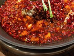 -四小区火锅·巷子里的重庆火锅(花照壁店)